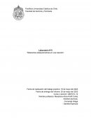 Informe de laboratorio sobre una reacción de bicarbonato de sodio