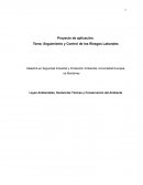 Seguimiento y Control de los Riesgos Laborales