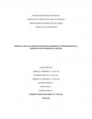 Propuesta para una campaña educativa de saneamiento y concientizacion de la Quebrada Catuche Parroquia la Pastora