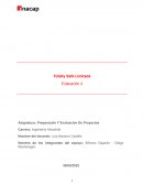 Creación de empresa de seguridad; Totally Safe Limitada