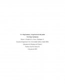 Número de Reynolds laminar y turbulento