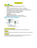 Qué es, agente etiológico