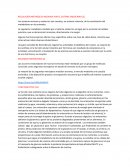 Regulación metabólica mediada por el sistema endocrino