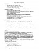 Parcial inteligencia comercial
