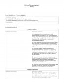 Desarrollo Informe Psicopedagógico