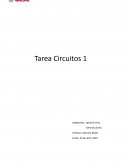 Circuitos eléctricos