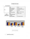 Ejecutiva Banca Pequeña Empresa
