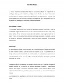 Informe sobre el Test Pata Negra