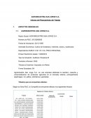 Informe planeamiento Agroindustria San Jorge S.A