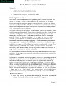 Caso : “SG Cowen nuevas contradicciones”