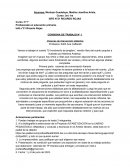 Escenas de intervención didáctica