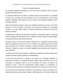 Propiedad Intelectual