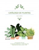 Catálogo de cuidado de plantas