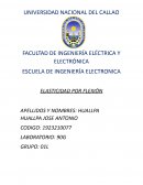 Elasticidad por flexión
