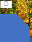 Uso indebido de todo tipo de papel