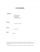 Economía- práctica