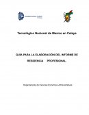 Guía para la elaboración del informe de residencia profesional