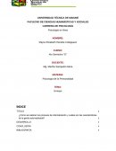 Procesos de internalización