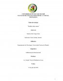 Realice citas cortas