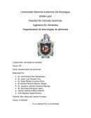 Transformación de almidones