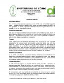 Portafolio empresas