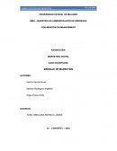 Marketing digital caso de estudio