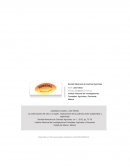 La conformación del valor y el sujeto. Implicaciones de la polémica entre subjetivistas y objetivistas