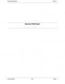 Práctica 5 Standard PDM Report