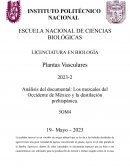 Análisis del documental: Los mezcales del Occidente de México y la destilación prehispánica