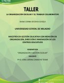Taller la Organización escolar y el trabajo colaborativo