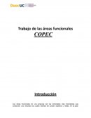 Trabajo de las áreas funcionales COPEC
