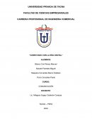 Monografia comunicación digital