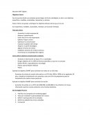 Resumen MKT Digital. Objetivos Smart