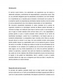 Reporte final de servicio social