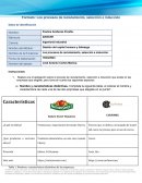 Los procesos de reclutamiento, selección e inducción