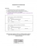 Fundamentos de antropología