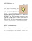 Filosofia de la educacion ¿Si fuera un vegetal cual seria y por qué?