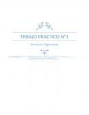 Dimensión Organizativa