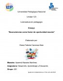 Neurociencias como factor de oportunidad escolar