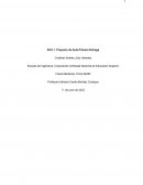 Proyecto de aula. Física mecánica