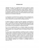 Ensayo seguridad pública