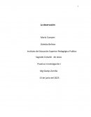 La observación. Desarrollo cognitivo