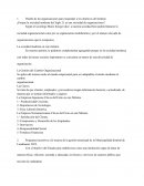 ¿Porque la sociedad moderna del Siglo 21 es una sociedad de organizaciones?