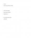 Epistemología de la Historia