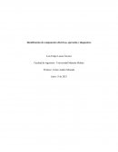 Identificación de componentes eléctricos, operación y diagnostico