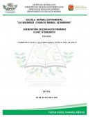 Ámbitos en que las emociones tienen influencia