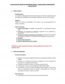 Ciclo de vida del proyecto Volkswagen México – Producción de componentes del auto Jetta