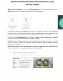 Simbiosis de residuos industriales y Alianzas en Economía Circular