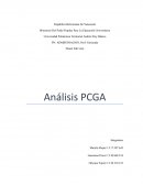 Análisis PCGA