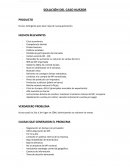 Solución del caso Kurzor